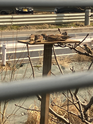 画像：小さなお客様1