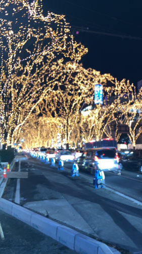 画像：温かな光1